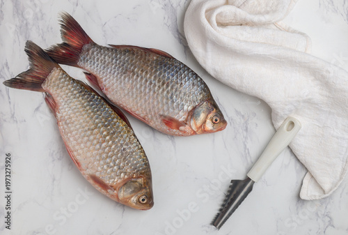 Two fresh raw crucian carp and a knife for removing scales on a marble table. Selective Focus, top view, and Copy space