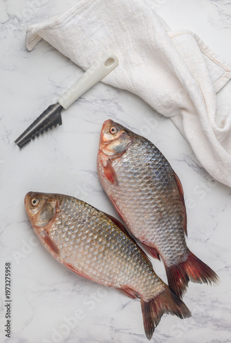 Two fresh raw crucian carp and a knife for removing scales on a marble table. Selective Focus, top view, and Copy space