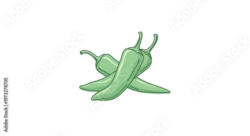 Green chili peppers on white background.