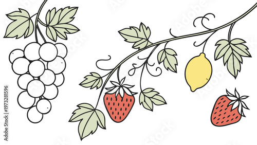 Fresh fruits and leaves artfully arranged on a white background, evoking a sense of natural abundance.