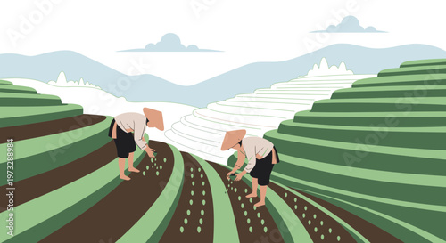 Farmers planting rice seedlings on lush green terraced fields in Asia