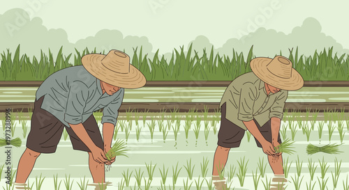 Farmers planting rice seedlings in a lush green paddy field during daytime