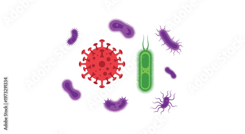 A large red coronavirus particle sits at the center of a group of purple rod-shaped bacteria and a single green flagellated microbe on a white background.