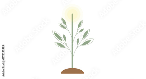 Minimalist illustration of a young plant growing from soil with a light source above.