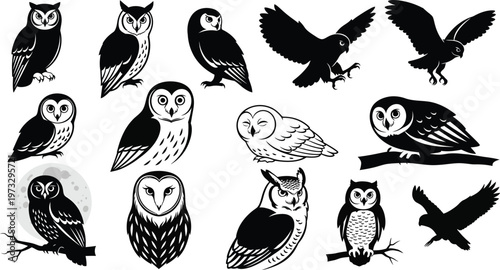 Group of owl silhouettes, including flying and perched owls, with some on branches and one outlined against the moon, tree branch, spirit animal, barn owl, great horned owl, screech owl, burrowing owl