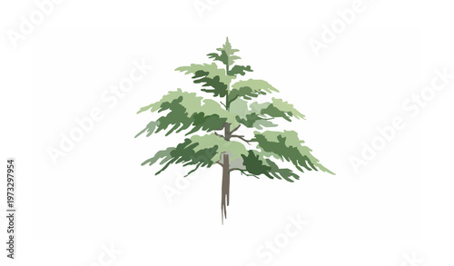 Artistic Watercolor Cedar Tree Vector with Soft Brush Texture and Minimal White Background