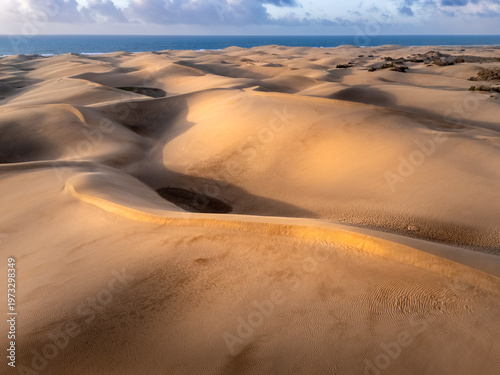 Fotografía Picturesque sand dunes on ocean coast on sunny day, Maspalomas, Gran Canaria, Sp