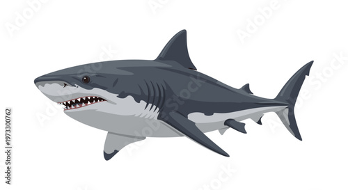 A detailed side-view illustration of a powerful great white shark swimming through the water with its mouth slightly open revealing rows of sharp teeth.