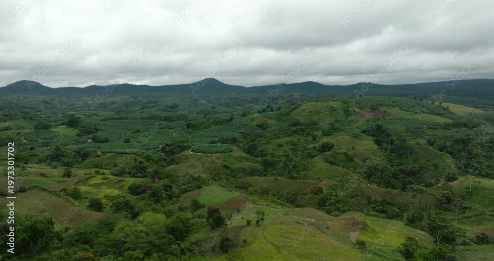 custom made wallpaper toronto digitalAgricultural land with banana farm plantations and paddy fields. Mindanao, Philippines.