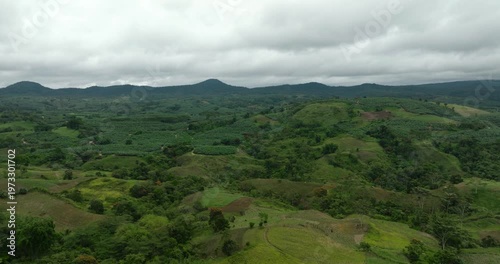 Wallpaper Mural Agricultural land with banana farm plantations and paddy fields. Mindanao, Philippines. Torontodigital.ca