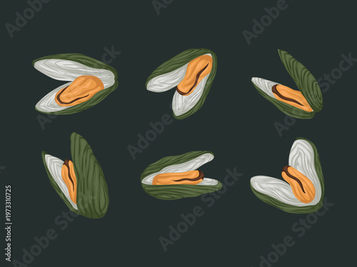 green mussel cartoon seafood sauce menu cute harvest asian protein garlic ingredient beach ocean art