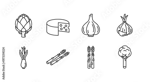 Collection of fresh vegetables and cheese icons in a simple line art style