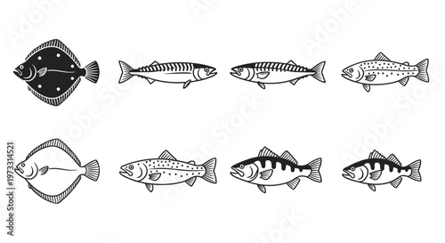 Collection of diverse fish species illustrations in a clean, graphic style