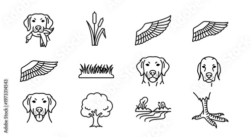 Hunting dog with duck, wings, and nature icons set