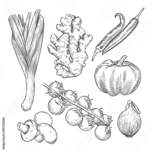 engraving set of vegetables