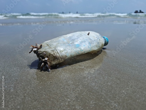 Polluted Shoreline: An evocative image of a plastic bottle, a symbol of environmental waste, washed up on the serene shore, highlighting the pervasive impact of pollution on coastal ecosystems. 