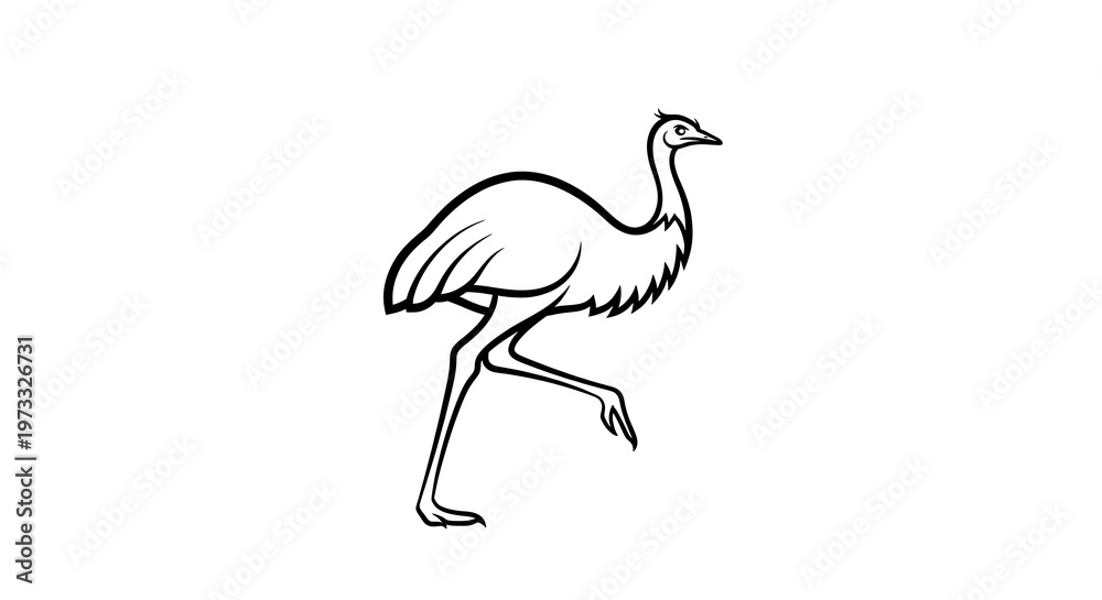 Fototapeta premium Ostrich, bird illustration, black and white line art, animal drawing