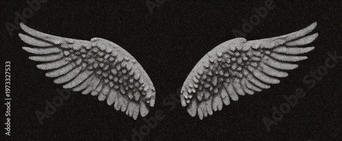 Chic halftone photocopy stipple effect grunge collage featuring ethereal feathered wings on contrasting backgrounds.