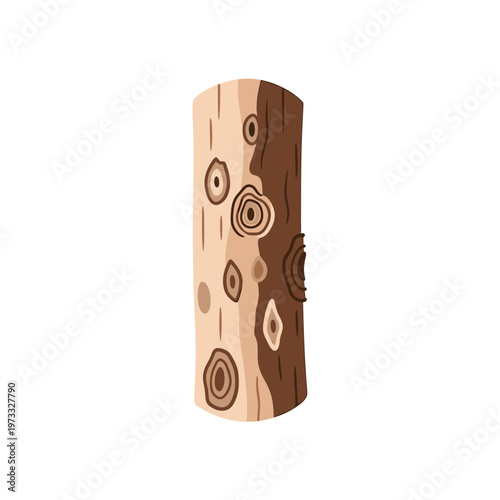 Weathered Wood Texture: A close-up shot of a textured, weathered log, revealing the natural patterns and imperfections that tell a story of time and the elements.