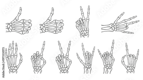 Collection of skeleton hand gestures including peace sign, pointing, counting, and rocking out, shown in a detailed vintage sketch style.