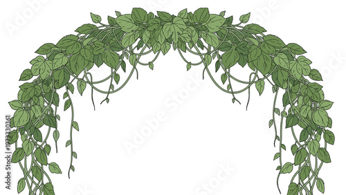Lush green archway made of climbing vines and leaves, creating a natural frame or entryway suitable for garden or nature themed designs.
