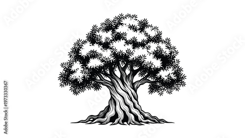 Ancient gnarled tree with a thick twisted trunk and dense foliage illustrated in a detailed black and white pen and ink sketch style on white.