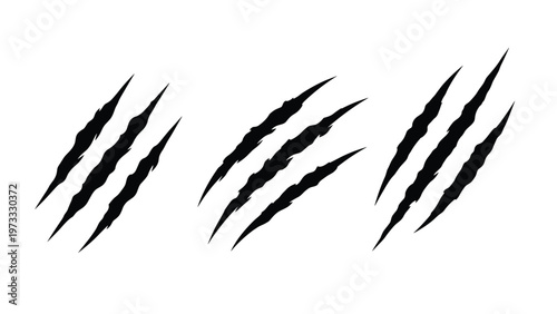 Set of three sharp black claw mark or scratch illustrations suggesting the presence of a wild animal or beast on a plain white background.