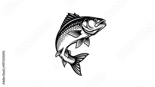 Dynamic black and white illustration of a fish leaping out of the water with detailed scales and fins on a white background.