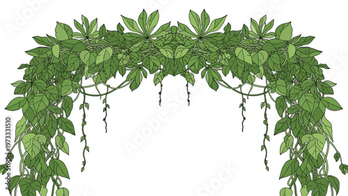 Lush frame of hanging green vines and tropical leaves creating a natural botanical border against a white background.
