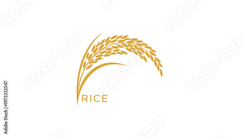 Elegant golden rice stalk logo with modern typography on a clean white background for food or agricultural brands.