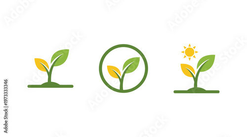 Green sprout growing in soil, sun, growth concept, eco logo, agriculture, nature