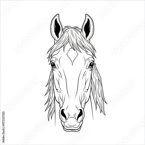 A horse's head with a long mane and ears