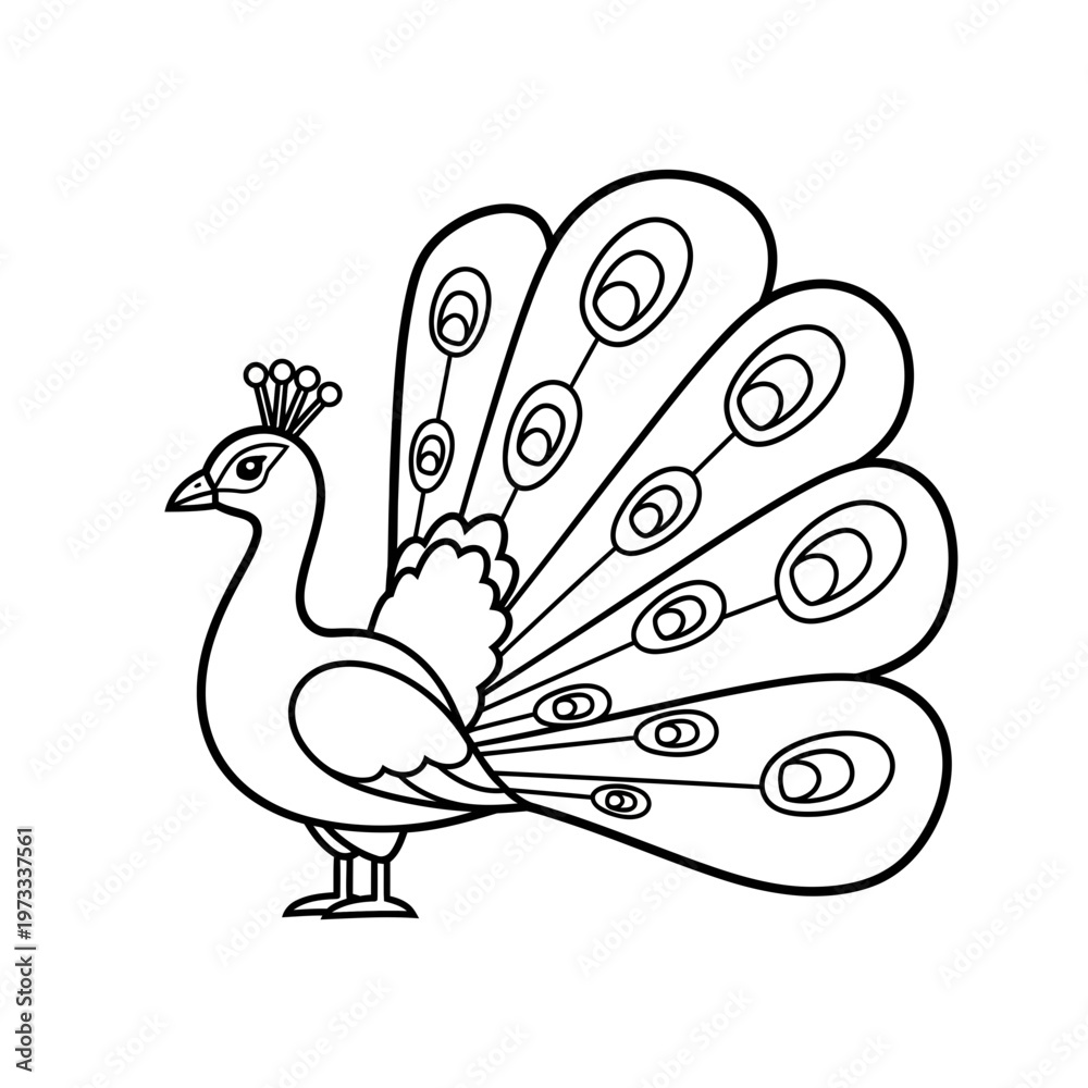 Fototapeta premium A black and white drawing of a peacock