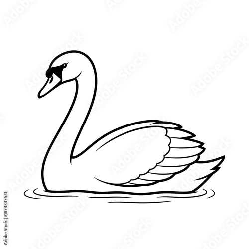 A swan floating on water