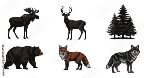 Wild Forest Animals Vector Illustration Set including Bear Wolf Moose Deer Fox and Pine Trees