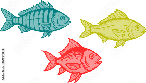  Two-tone woodcut and linocut style drawing of fishes. Colorful vintage fish vector set in engraving style.