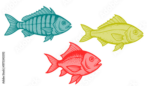  Two-tone woodcut and linocut style drawing of fishes. Colorful vintage fish vector set in engraving style.