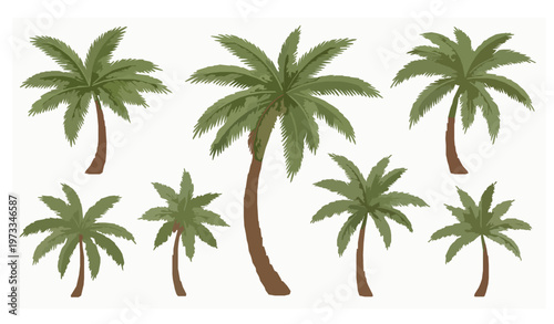 Stylized tropical palm tree icon set vector illustration