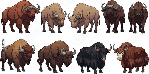 Wild Bison and Yak Vector Illustration Set Featuring Multiple Bovines with Diverse Fur Colors, Horn Shapes, and Realistic Wildlife Animal Design Elements.