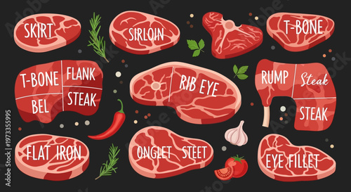 Collection of Beef Steak Cuts Infographic with Ribeye, Sirloin, and T-Bone. Butcher Guide Illustration for Restaurant Menu and Culinary Education.