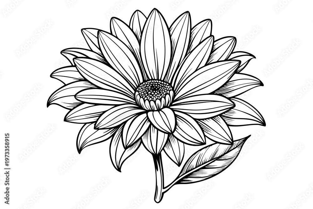 Fototapeta premium coloring page line art the gazania flower black vector