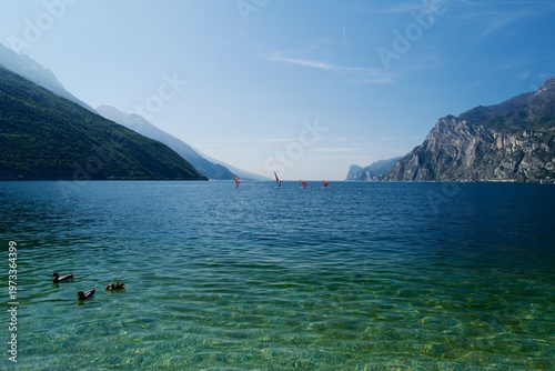 Crystal clear Lake Garda with windsurfers and ducks under blue sky
