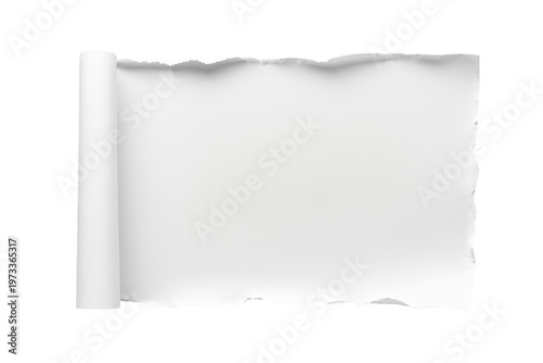 Rolled paper revealing torn edges and blank copy space, a white scroll template for text and design on transparent background