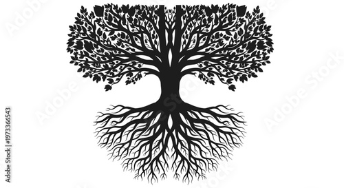 Clean, bright white backdrop creates a sense of purity, minimalism, and spaciousness, ideal for product displays, marketing materials, or web design.