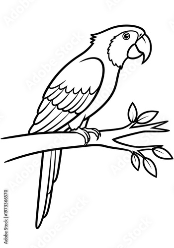 A detailed black and white line art illustration featuring a tropical macaw parrot perched on a small branch designed specifically as a creative coloring page for young children and students.