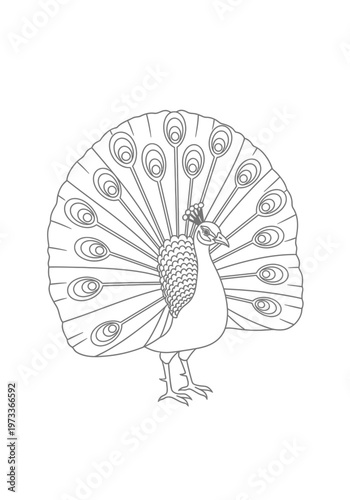 Detailed black and white line art drawing of an elegant male peacock displaying his magnificent plumage with intricate feathers and patterns designed for creative coloring book pages for all ages.