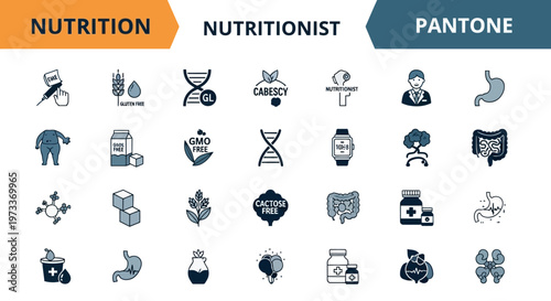 Nutrition and Diet Icon Set: Gluten-Free, GMO-Free, Wellness, and Digestive Health Vector Symbols