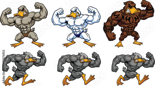 Strong duck cartoon character set with muscular poses and bodybuilding theme, humorous animal illustrations in dynamic vector style for fitness and mascot design