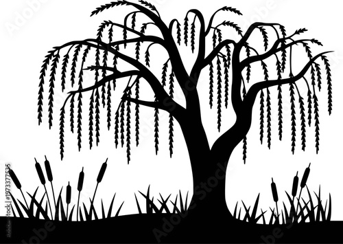 Black silhouette of a weeping willow tree with cattails and grass a white background