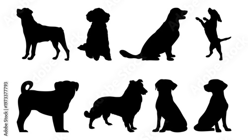 Set of various wild safari and forest animal black silhouettes vector illustration